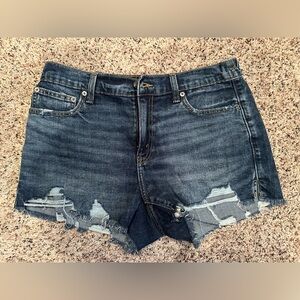 Aerie Stretch Denim Shorts